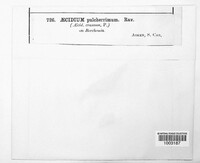 Image Associated With the Occurence